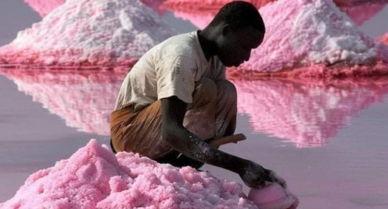 lac rose dakar1